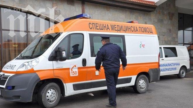 Вадят над 50 сачми от детенце, крало орехи в чужд двор