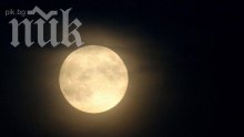 НАСА ще отглежда ряпа и босилек на Луната през 2015 г.