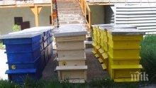 ДФ „Земеделие" вече приема документи за плащане по пчеларската програма