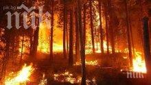 80 дка пшеница изгоряха в Новозагорско