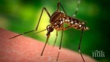 Преброяване на комарите в Русе - с капани