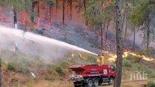 18 дка иглолистна гора изгоря в землището на Хисар