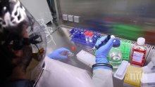 Експерт: Ебола не може да се разпространява естествено в Европа 