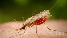 Ваксината срещу малария скоро може да е реалност