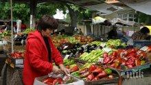 Цените на зеленчуците и плодовете продължават да падат