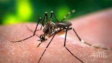 В България няма открита треска, пренасяна от тигровия комар
