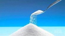 Цената на захарта е паднала с близо 10% от началото на годината
