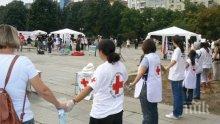 Световният ден на първата помощ ще бъде отбелязан с изяви в Борисовата градина