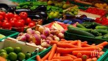 Производителите на плодове и зеленчуци стягат протест 