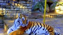 Екоминистерството плаши зоопаркове със затваряне