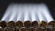 Конфискуваха 15 000 къса цигари без бандерол