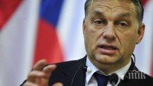 И Виктор Орбан пожела успех на Борисов