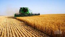 КНСБ: 42% е делът на сивия сектор в земеделието