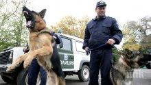 Кучета ще охраняват границата ни с Турция