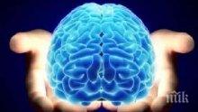Български и европейски неврохирурзи се събират на симпозиум за заболяванията на мозъка