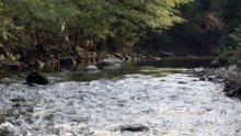 Киселина се излива в река Луда Яна