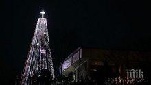 Палят Коледнаха елха в София на 1 декември