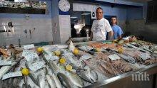 На пазара в Благоевград вече се предлага риба за предстоящия Никулден 
