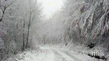 29 сантиметра е падналият сняг в Белоградчик