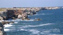 Квотата за улов в Черно море на калкан остава 43,2 тона