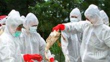 Земеделското министерство успокоява за птичия грип в Бургас: Няма нищо апокалиптично