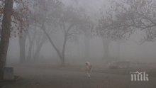 Намалена е видимостта поради мъгла в някои области на страната