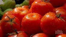 Български домати се появяват на пазара след 1 април, повишение на цената няма да има