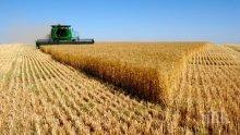 Земеделското министерство: Опасност за реколтата няма