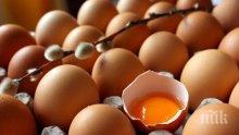 БАБХ: Гледайте за печат на яйцата