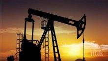 Тръгват конкурсите за търсене и проучване на нефт и газ в "Силистар" и "Терес"