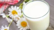 Асоциацията на млекопреработвателите: Българското мляко е много по-добро като качество от европейското