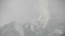 100 дка борова и дъбова гора горят край Бобошево