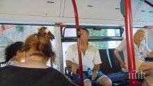 Без климатици в градските автобуси в Пловдив