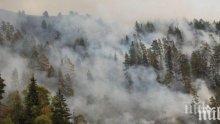 Агенцията по горите: 84 са пожарите от началото на август в страната 
