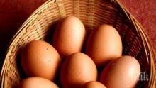 Българските яйца търсени най-много в Гърция и Швеция
