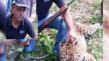 43 ловци са били проверени от инспектори на горското в Шумен