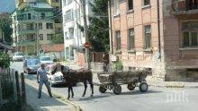 Кон с каруца паркира на централна улица във Враца и едва не предизвика катастрофа (снимки)
