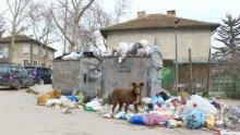 Пловдивско село потъна в боклуци! Страх от епидемия тресе местните
