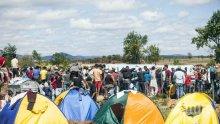 Вниамние! 44 000 гладни бежанци на 200 км от София
