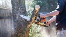 Заловиха дървопреработвател от Айтос, обявен за национално издирване
