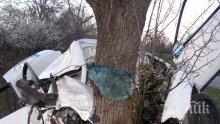 Тежък удар в Благоевград! Двама младежи се забиха в дърво
