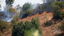 Пожар пламна в месността „Зайчева поляна” в Стара Загора