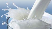 Млекопроизводител: За да се запази секторът, трябва да има целогодишна субсидия на литър мляко
