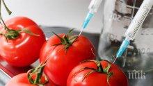 МЗХ: България продължава да бъде страна, в която са забранени ГМО културите