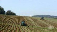 Предлагат безплатни консултации за селскостопанските производители в Сливенско
