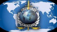 Арестуваха в Банско руснак, обявен за издирване от Интерпол
