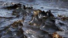 Нова система ще следи за петролни петна в Черно море