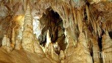 Над 400 туристи са посетили пещера „Леденика“ през почивните дни