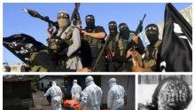 Експерт с ужасяваща прогноза: "Ислямска държава" готви биоудари с чума и ебола