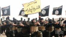 Проф. Вихрен Бузов: Възможно е да се развие проект за „Кюрдска държава”, ако „Ислямска държава” бъде унищожена